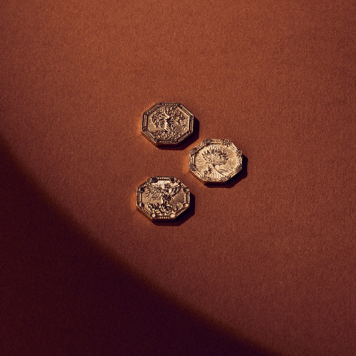 The Vault Reversible Medallion